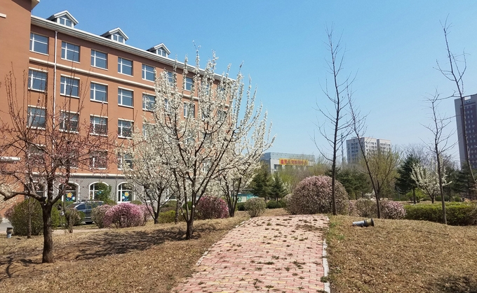 沈陽(yáng)音樂藝術(shù)學(xué)校招生簡(jiǎn)章2025年