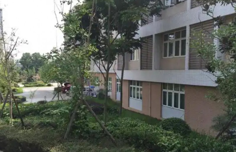 金堂外國語實驗學校怎么樣、好不好