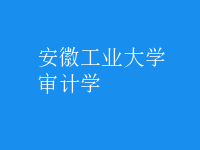 審計學(xué)