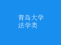 法學(xué)類(lèi)