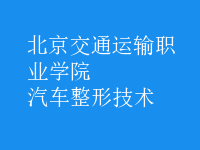 汽車(chē)整形技術(shù)