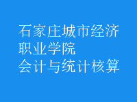 會計與統(tǒng)計核算