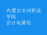 會計電算化