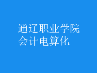 會計電算化
