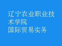 國際貿(mào)易實務