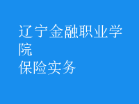保險(xiǎn)實(shí)務(wù)