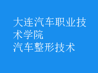 汽車(chē)整形技術(shù)