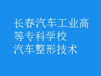 汽車(chē)整形技術(shù)