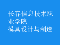 模具設(shè)計(jì)與制造