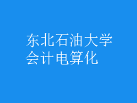 會計電算化