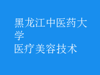 醫(yī)療美容技術