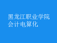 會計電算化