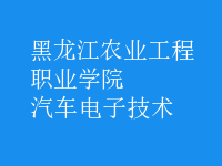 汽車電子技術(shù)