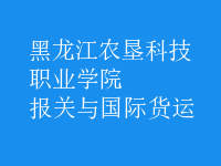 報(bào)關(guān)與國際貨運(yùn)