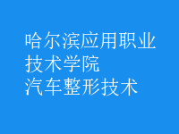 汽車(chē)整形技術(shù)