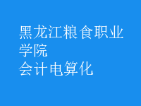 會計電算化