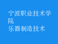 樂(lè)器制造技術(shù)
