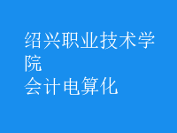 會計電算化