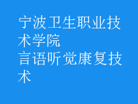 言語(yǔ)聽覺康復(fù)技術(shù)