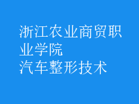 汽車(chē)整形技術(shù)