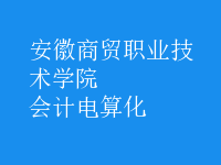 會計電算化