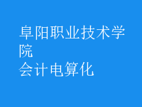 會計電算化