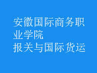 報(bào)關(guān)與國際貨運(yùn)