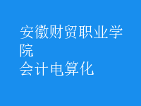會計電算化