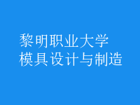 模具設(shè)計(jì)與制造