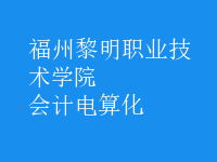 會計電算化