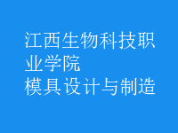 模具設(shè)計(jì)與制造