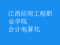 會計電算化
