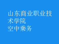 空中乘務(wù)