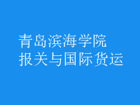 報關(guān)與國際貨運