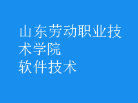 軟件技術(shù)