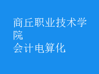會計電算化