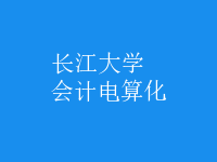 會計電算化