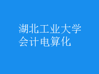 會計電算化