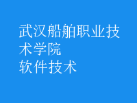 軟件技術(shù)