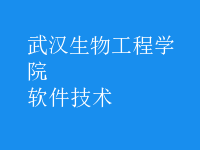 軟件技術(shù)