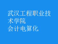 會計電算化