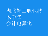 會計電算化