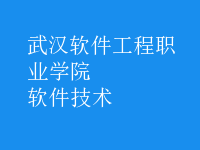 軟件技術(shù)