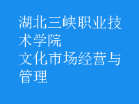 文化市場(chǎng)經(jīng)營(yíng)與管理