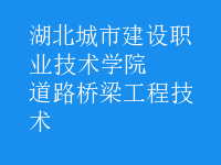 道路橋梁工程技術(shù)