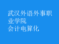 會計電算化