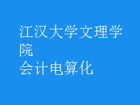 會(huì)計(jì)電算化