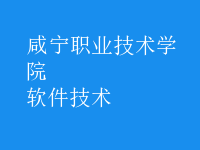軟件技術(shù)