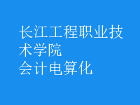 會計電算化