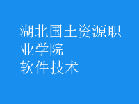 軟件技術(shù)